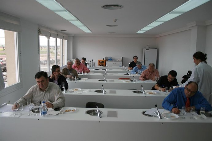 Cata De Vino De La DO La Mancha