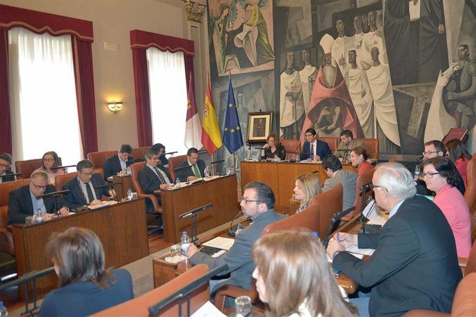 Pleno de la Diputación