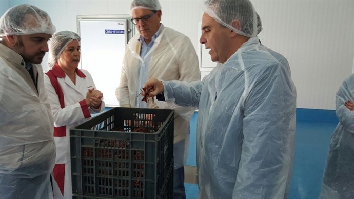 Buenoy Tarno en instalaciones que tratan el cangrejo rojo