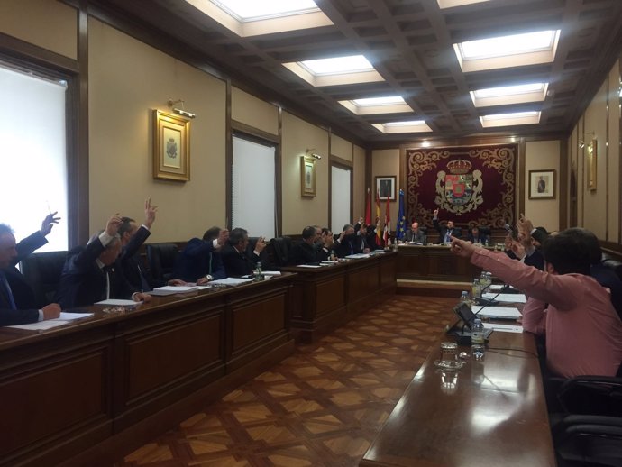 Imagen del pleno