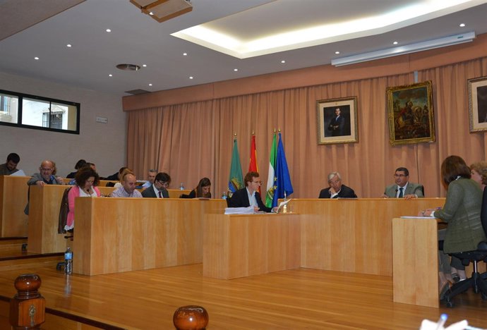 El pleno del Ayuntamiento de Vélez-Málaga.