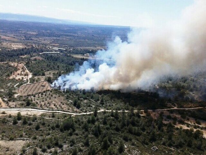 Incendio forestal en Navarrés