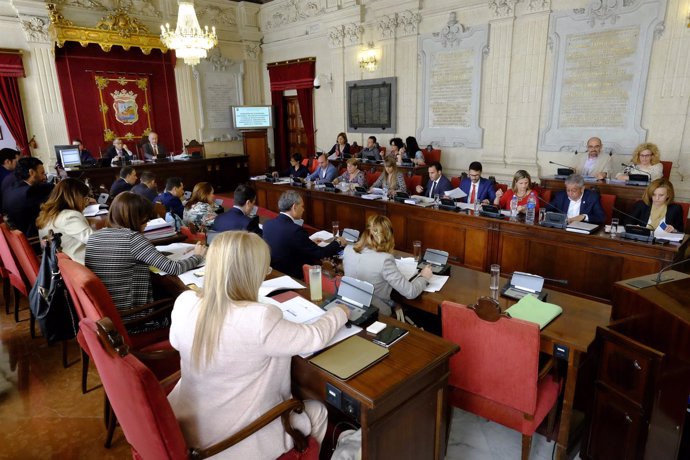 Pleno del Ayuntamiento de Málaga abril 2016