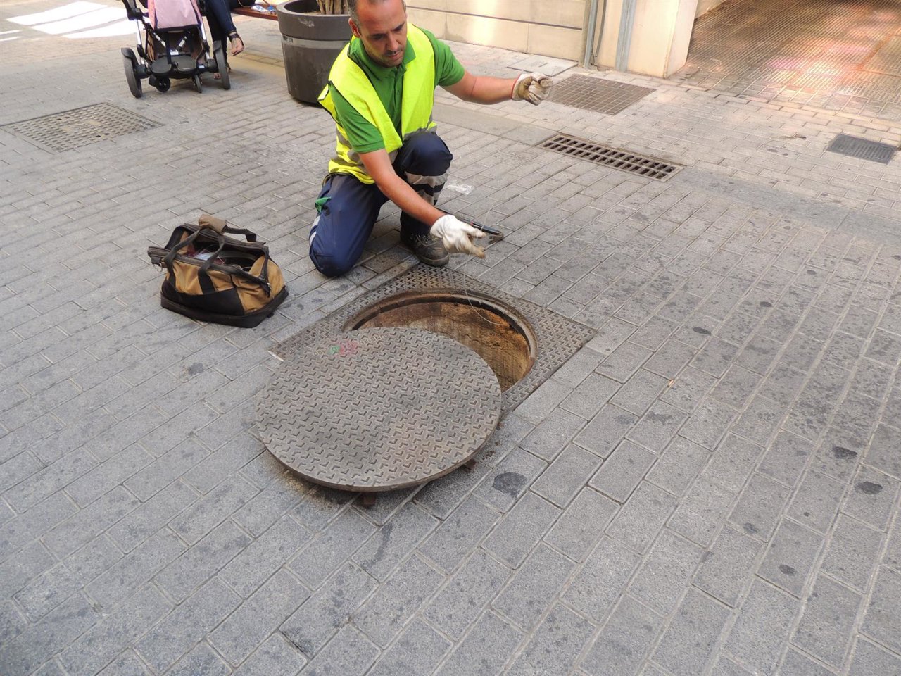 Campaña de desratización