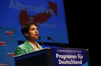 AfD incluye en su programa que el Islam no es compatible con la Constitución alemana