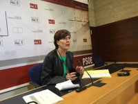PSOE tacha de "demagógica" la petición de Podemos sobre el gasto electoral