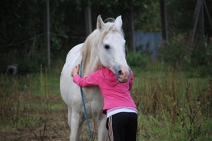Terapia con un caballo