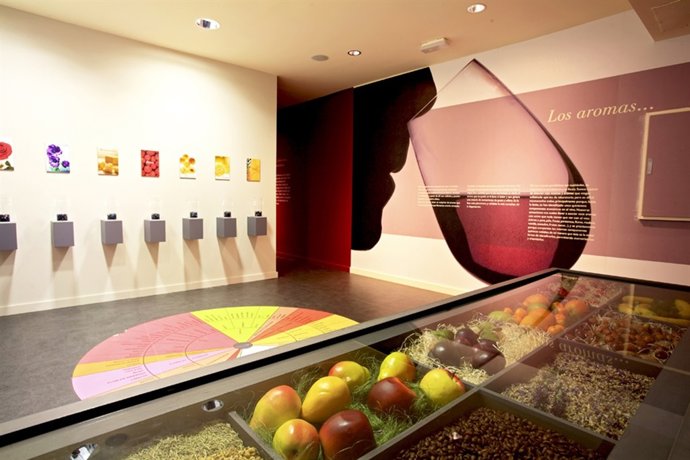 Museo del Vino