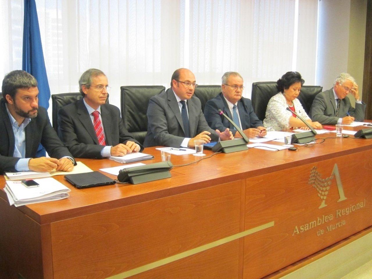 Sánchez en la Comisión de Educación