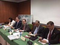 Seis mil efectivos para garantizar una romería del Rocío sin incidencias