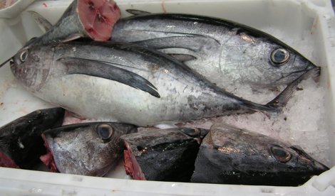 Cooperación y Desarrollo