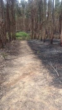 Controlado el incendio de Fuente de la Corcha tras arrasar 175 hectáreas