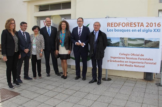 Inversiones en el sector forestal