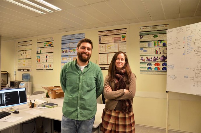 Investigadores de la UPV