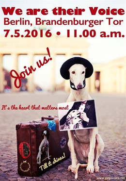 Cartel de la manifestación por la defensa de los galgos en Berlín