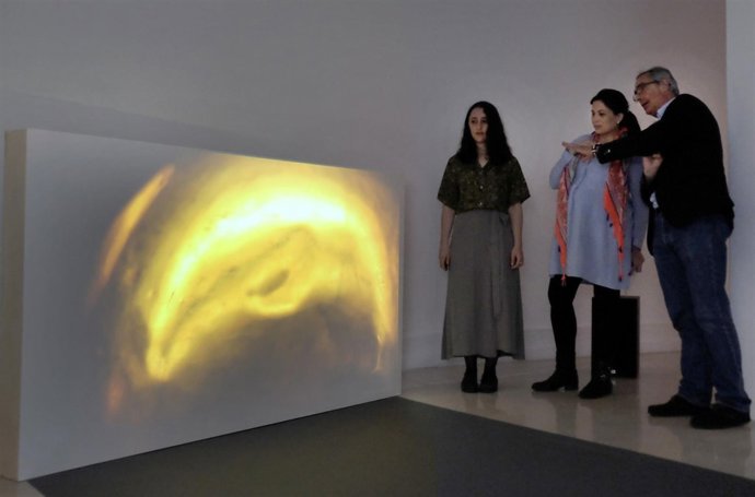 Exposición de Sara Munguía en el MAS