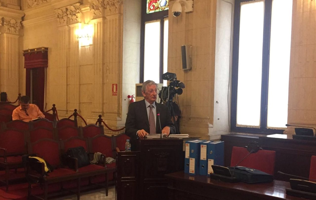 Fulgencio Alcaraz, Royal Collections, Art Natura, en comisión investigación