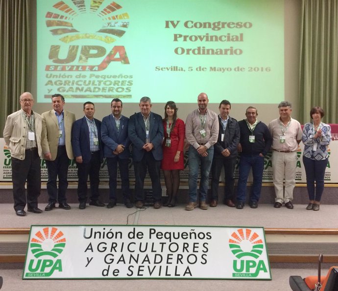 Ejecutiva de UPA Sevilla