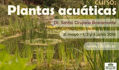 Cooperación y Desarrollo