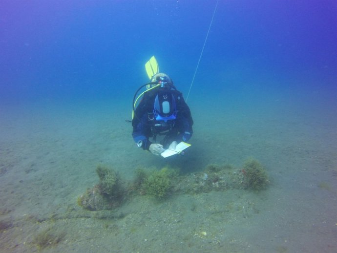 El proyectil encontrado por el buceador de Life Natura en Almería