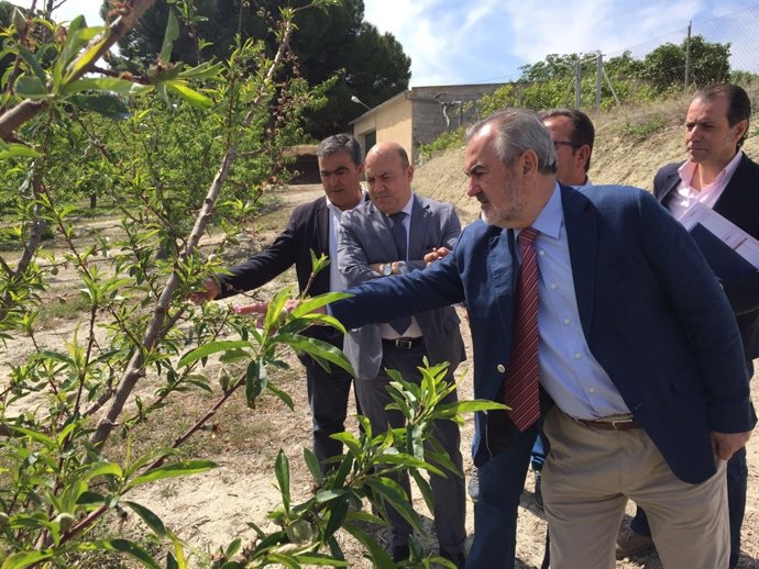 Rafael González Tovar