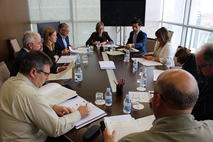 Consejo de Administración de FGV 