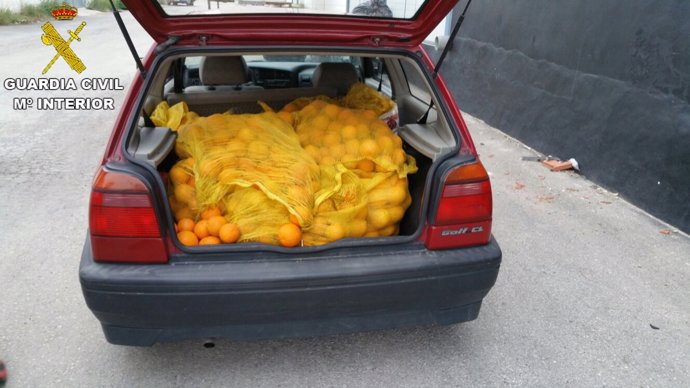 Las naranjas sustraídas en varios pueblos de Valencia