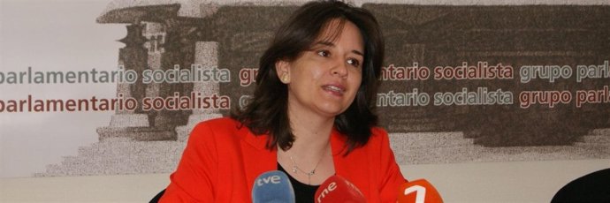 La diputada socialista Ascensión Ludeña 