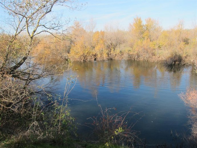 Galacho de Juslibol, en Zaragoza