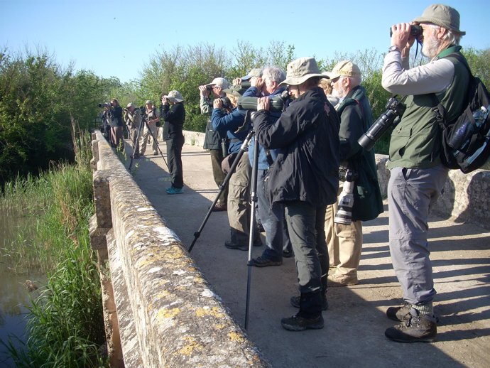 Grupo de ornitólogos británicos y centro-europeos observando aves en S'Albufera