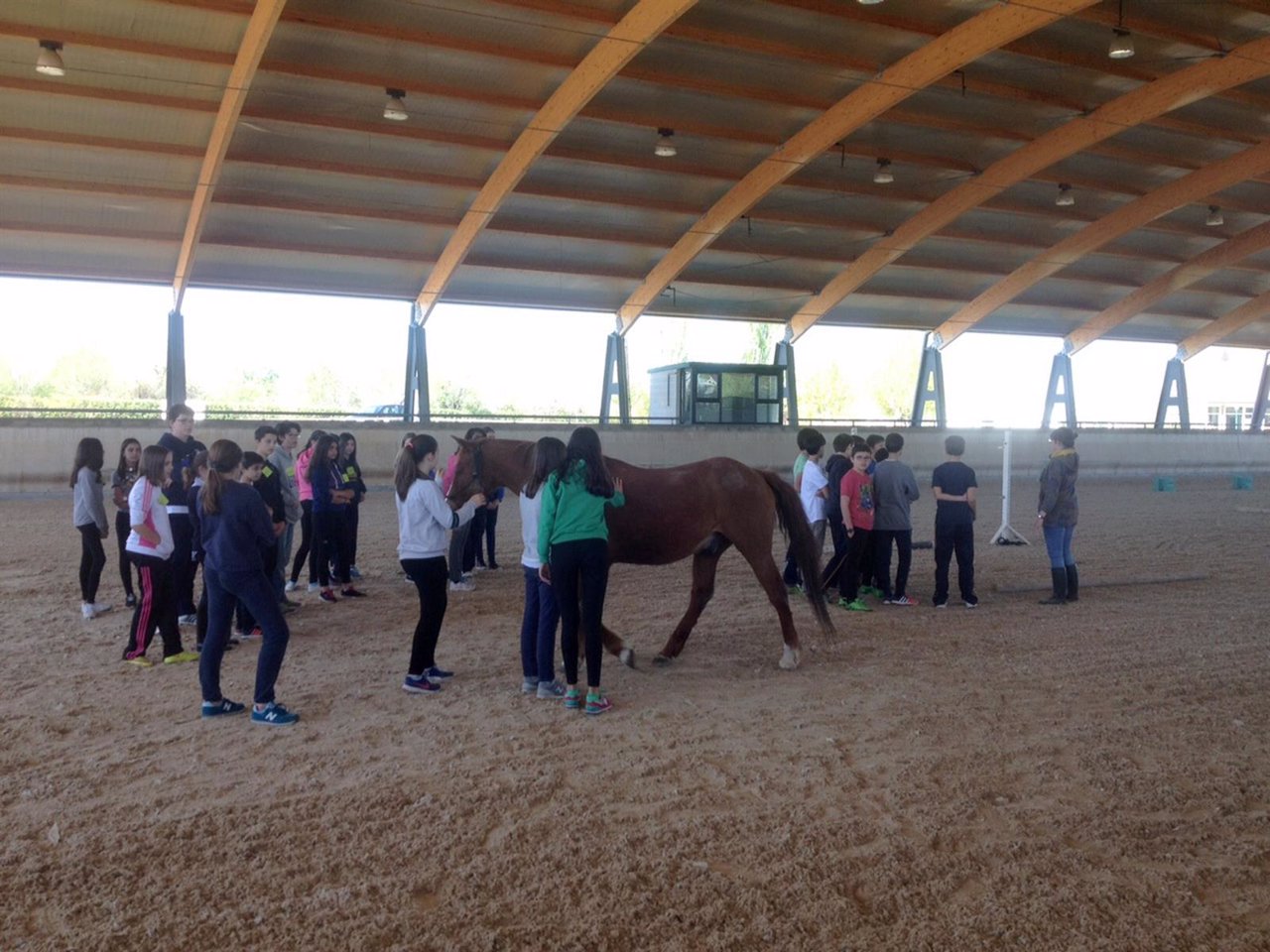 Una de las sesiones de los alumnos con los caballos. 