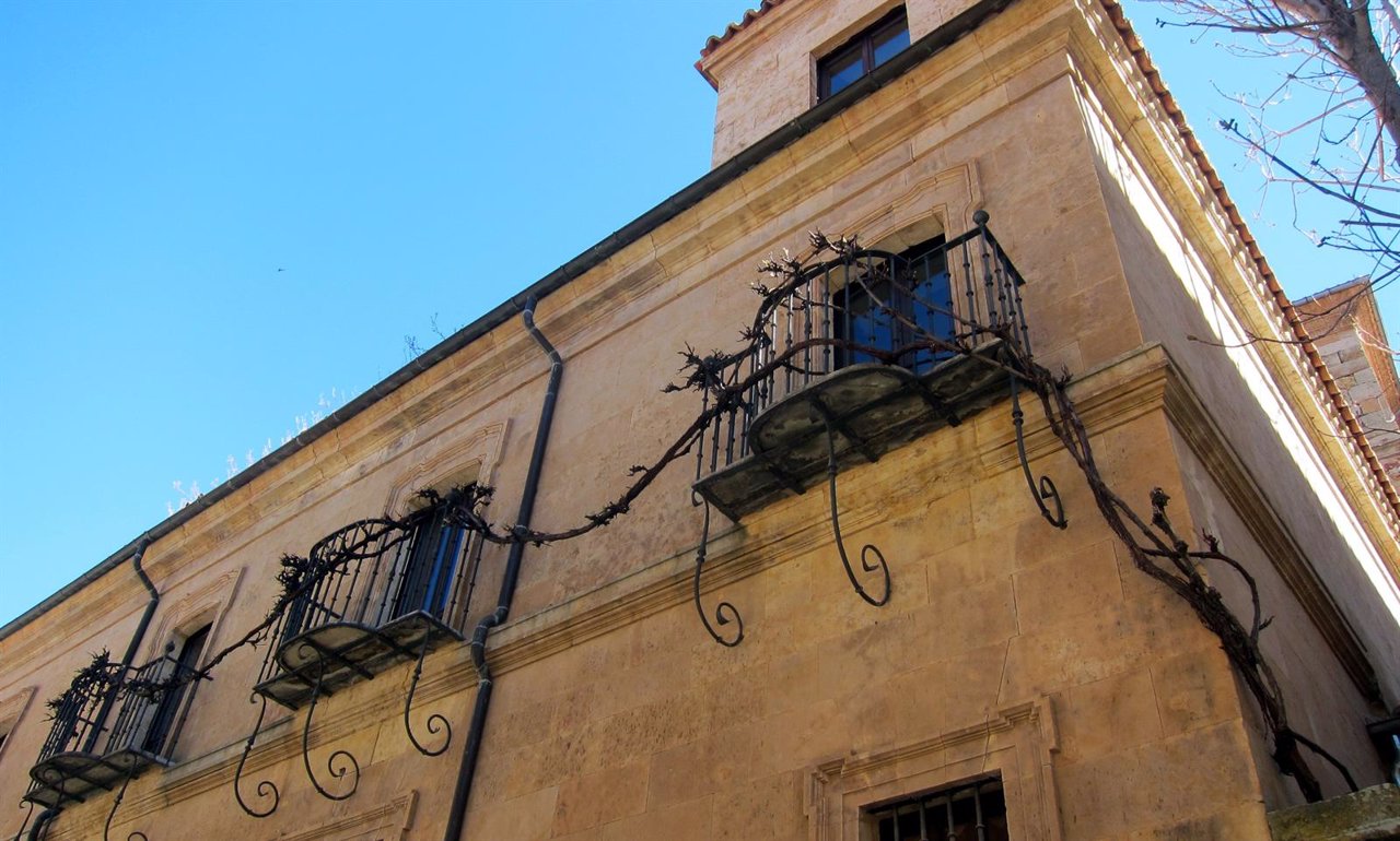 Higuera en los balcones de la Casa-Museo Unamuno de Salamanca