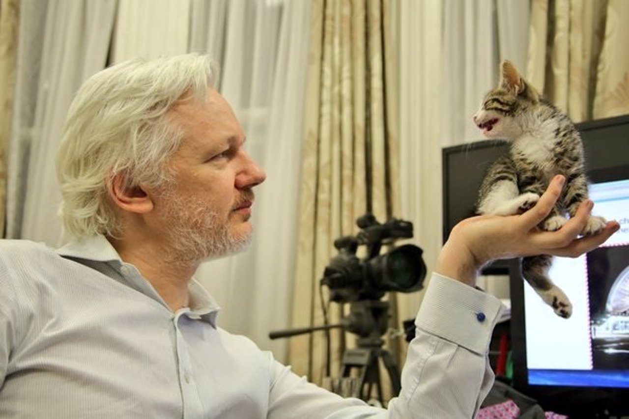 Julian Assange en la embajada de Ecuador en Londres con el gato