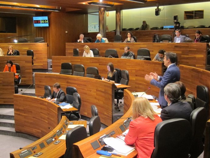 Pleno de la Junta General