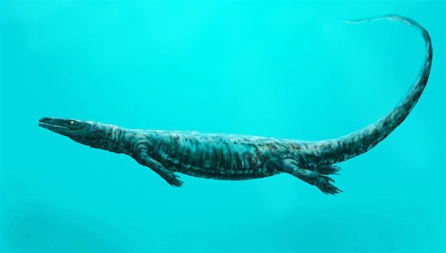 Mosasaurio primitivo