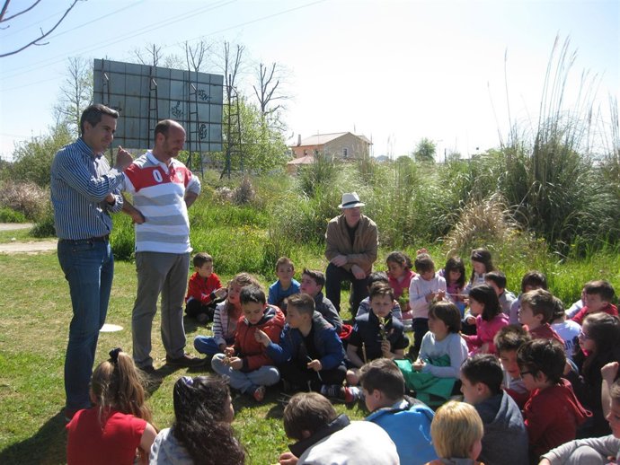 Plantación de árboles
