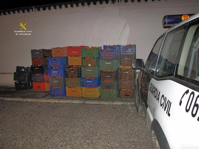 Naranjas robadas y recuperadas en Sevilla