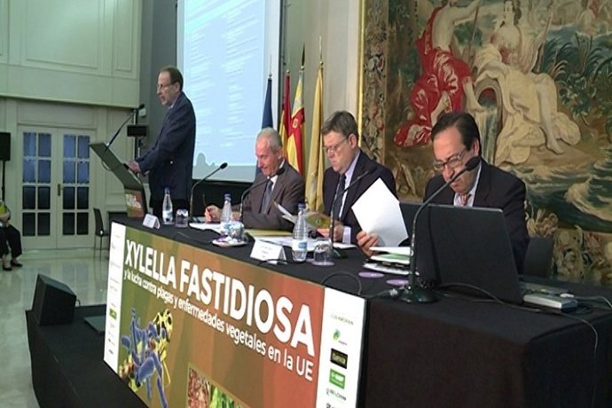 Jornada en Valencia sobre la bacteria 'xylella fastidiosa'