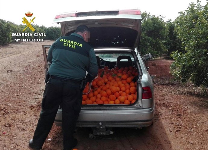 Equipo ROCA robos campos