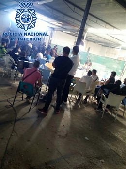 Campeonatos de peleas de gallos