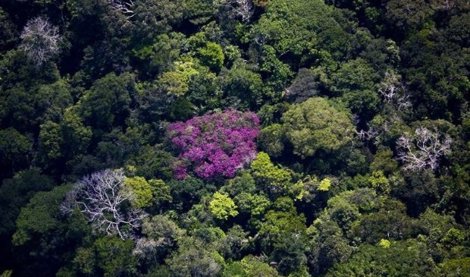 Cooperación y Desarrollo