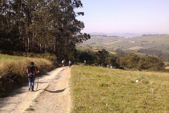 Peregrinos, camino de Santiago