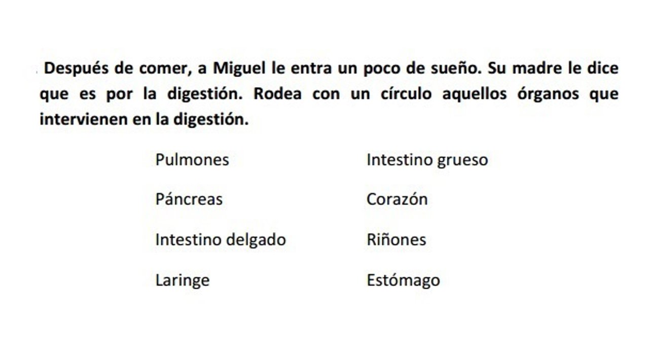 Reválida de 6º de Primaria