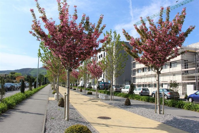 Nota Visita Guiada Boulevar Ronda