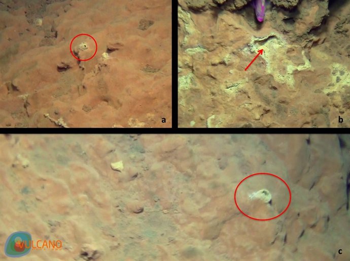 Investigación sobre el volcán de El Hierro