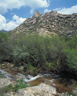 El río Manzanares a su paso por la Pedriza