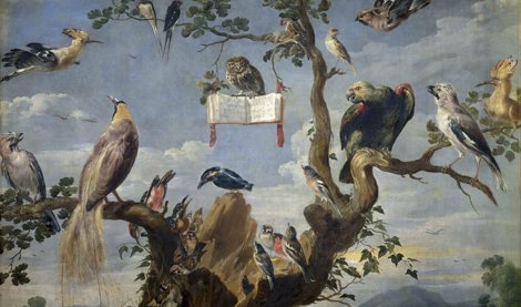 Cooperación y Desarrollo