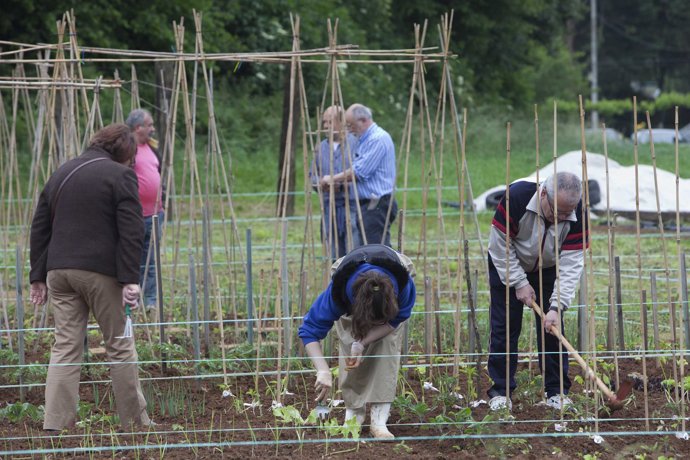 Huertas municipales sostenibles
