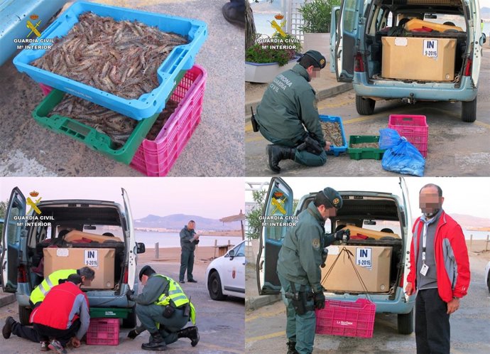 Sorprenden A Dos Pescadores Furtivos Con 25 Kilos De Langostino Del Mar Menor En