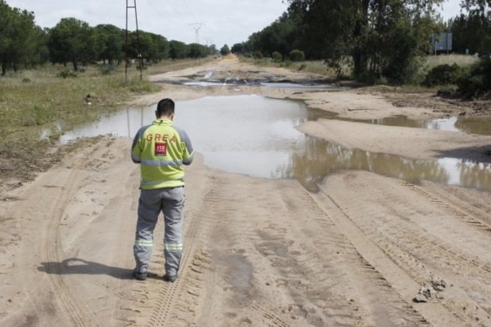 Efectivos del Plan Romero 2016 en los caminos a El Rocío